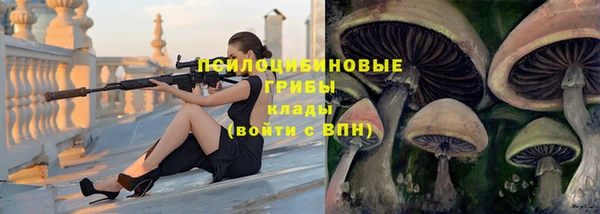 мяу мяу мука Надым