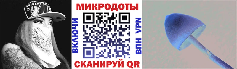 наркошоп  Цоци-Юрт  Галлюциногенные грибы мицелий 